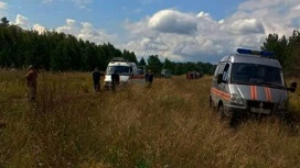 В Челябинской области отец залез на дерево, чтобы позвонить в МЧС и спасти детей