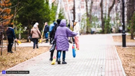 Порядка 4,5 тысяч томичей приняли участие в общегородском субботнике