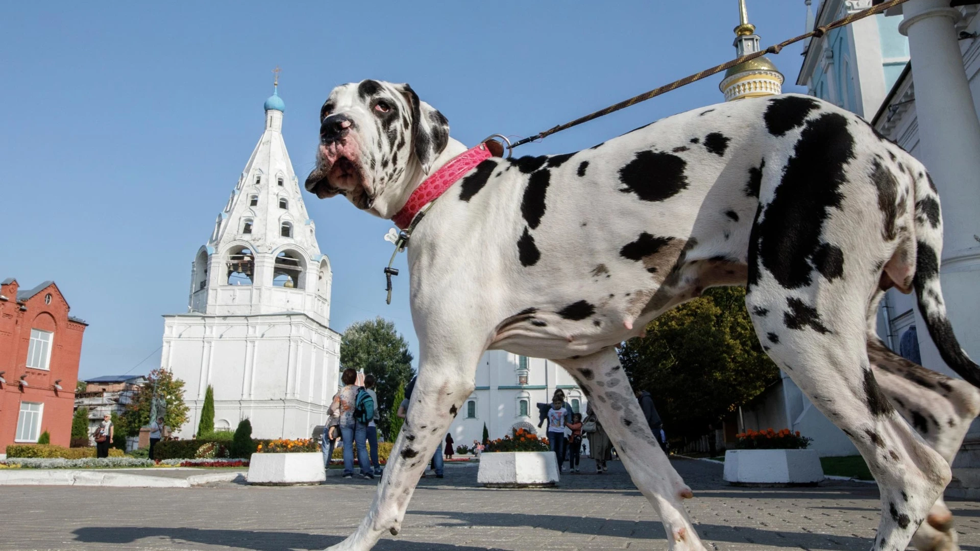 ロシアは5月の祝日を9日間延長する方法を語った