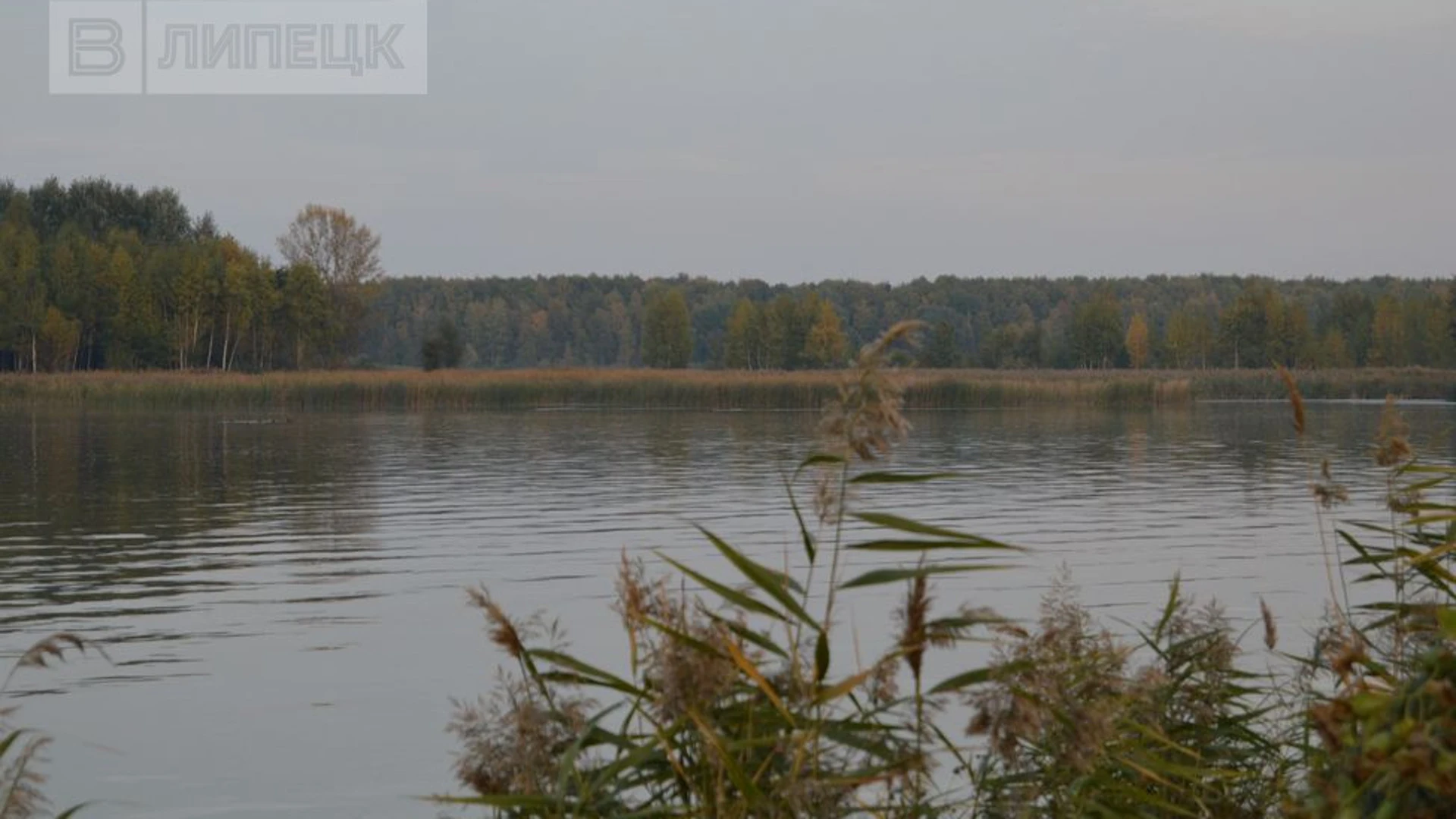 Тело пропавшего в июне рыбака нашли в районе турбазы на водохранилище под Липецком