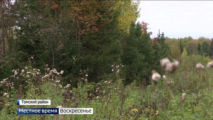 Вести. Томск. Воскресенье Эфир от 18.09.2022