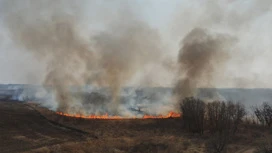 Огонь уничтожил десять домов в Ульяновской области