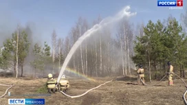 В Южском районе ликвидировали лесной пожар