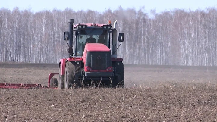 Fahren Sie. In der Region Tscheljabinsk wird die Getreideernte um 400 Tausend Tonnen erhöhen