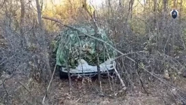 В убийстве предпринимательницы из Балакова подозревают жену ее любовника