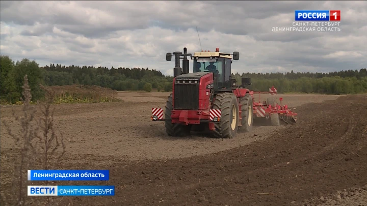 Вести. Санкт-Петербург Эфир от 13.09.2022 (21:05)