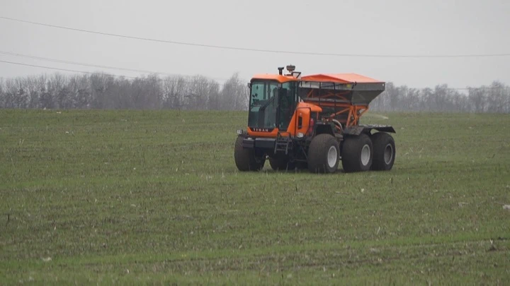 Drive. Belgorod Korochan farmers are feeding winter crops