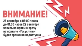 Запись к врачам на Госуслугах будет временно недоступна в Ивановской области