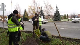 Более 13 млн рублей потратят на озеленение Владикавказа городские власти