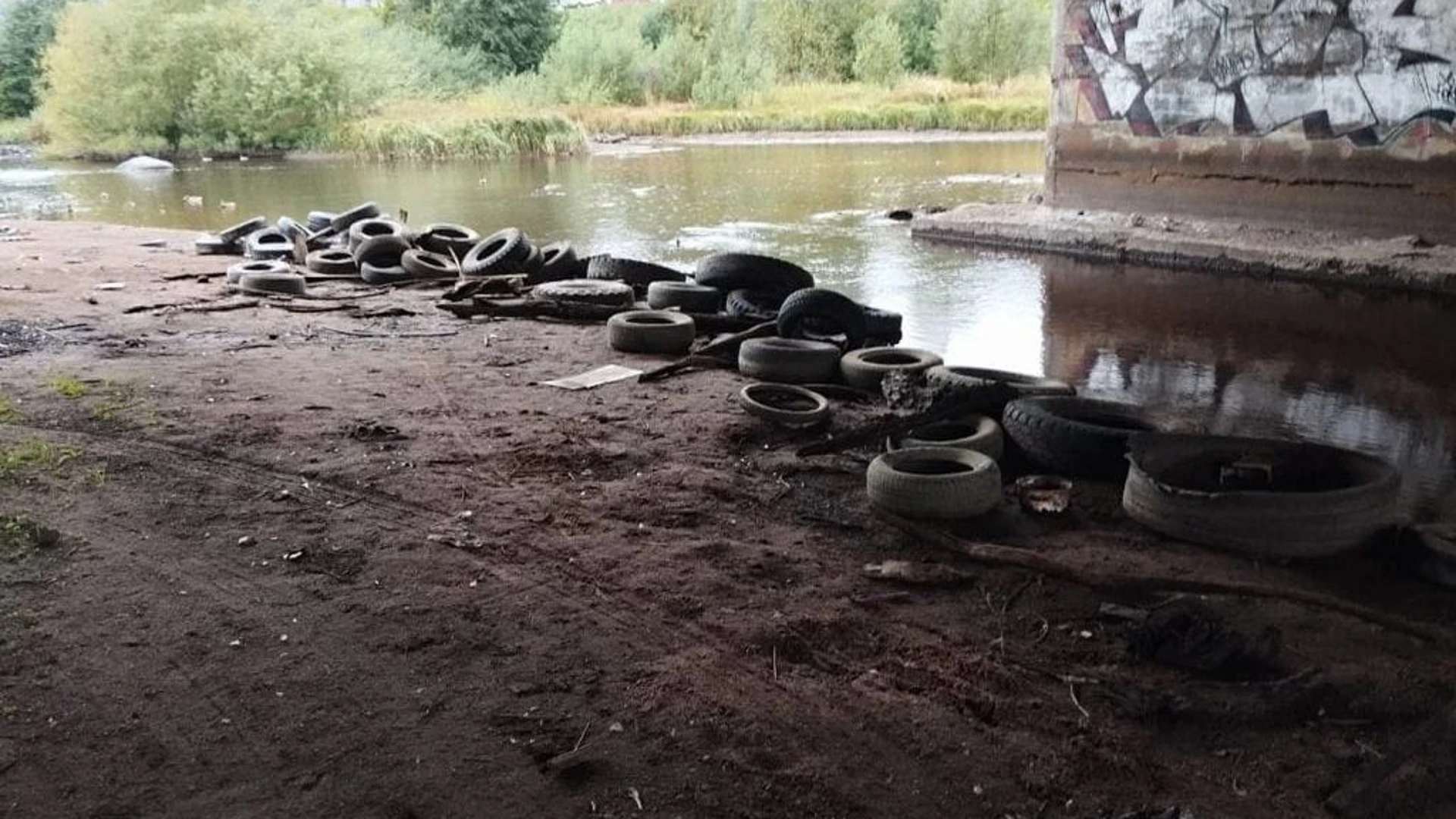 В Петрозаводске со дна Лососинки подняли три тонны старых покрышек