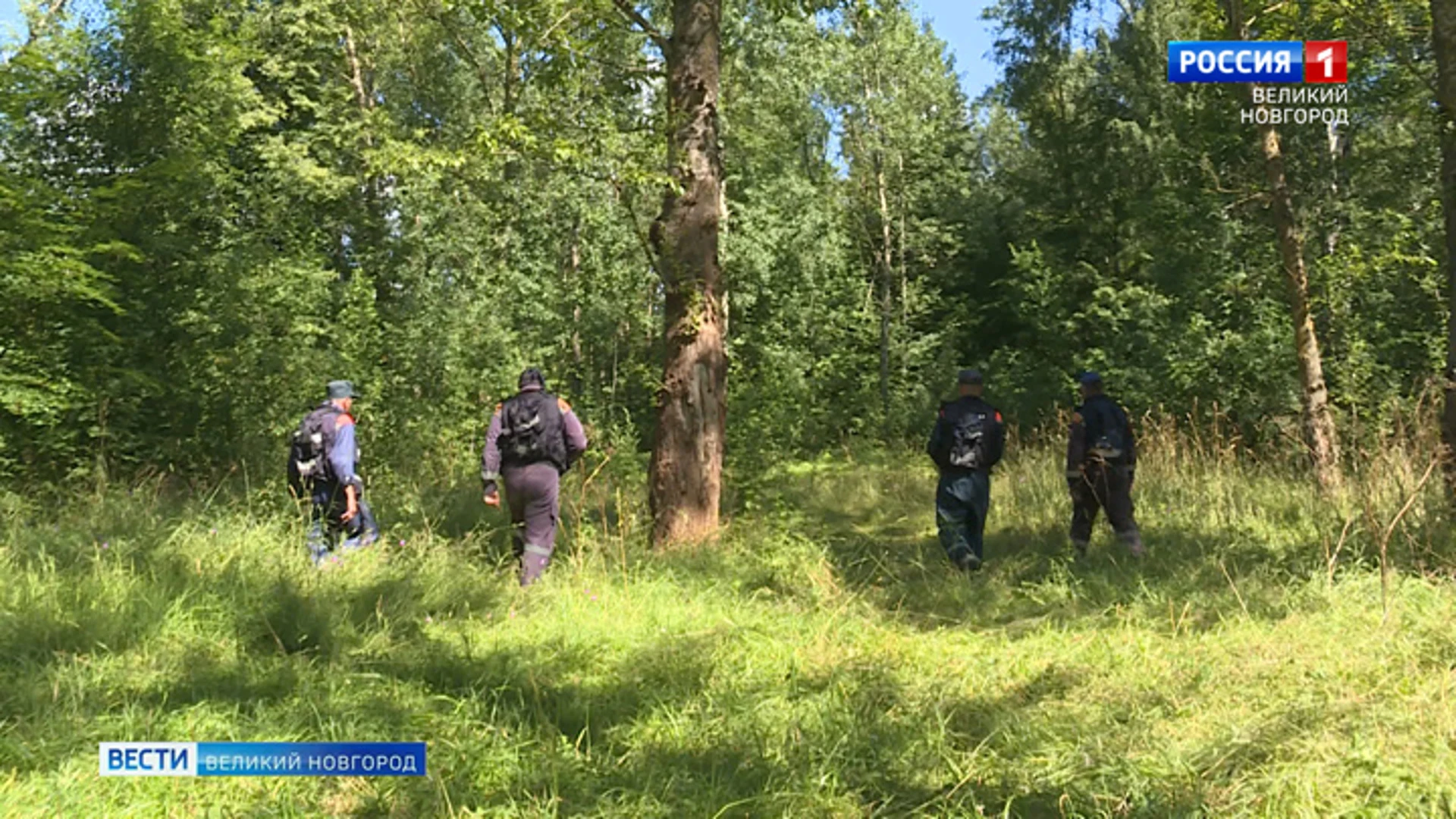 В МЧС поступило около 230-ти сообщений о потерявшихся в лесу новгородцах