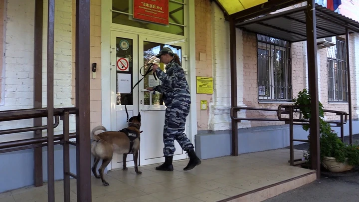 Вести. Волгоград В Волгоградской области в День знаний усилят меры безопасности в школах