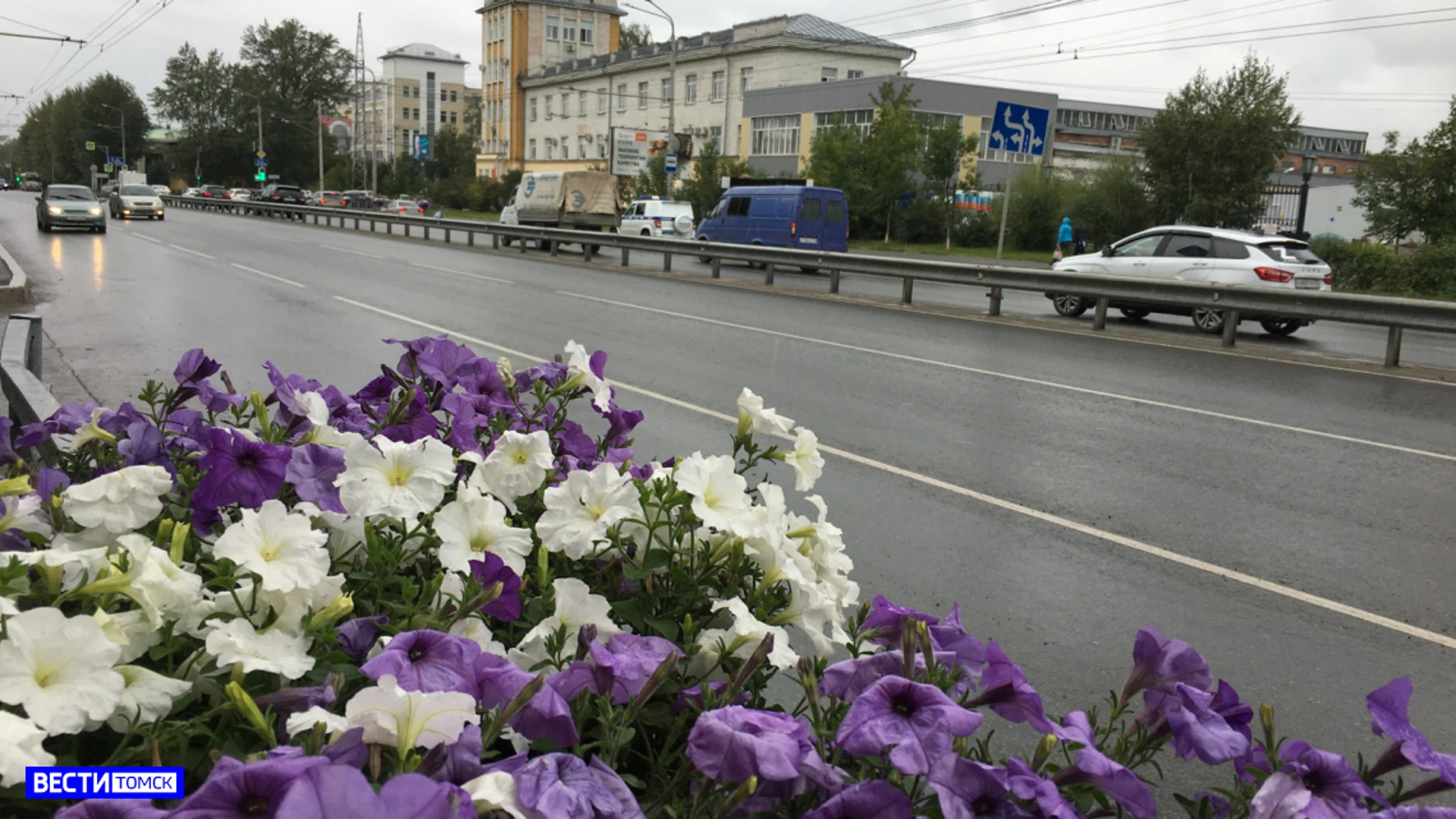 Более 17 тысяч раз томичи превысили скорость на дорогах в течение недели