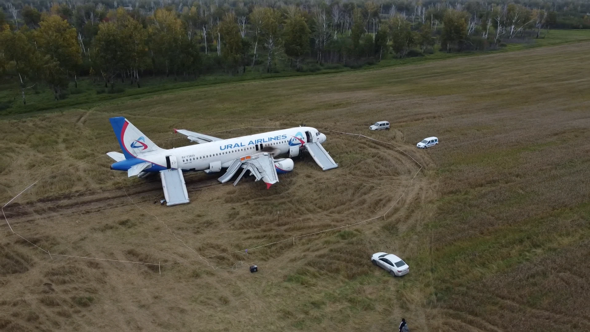 Все подробности аварийной посадки Airbus A320 в поле в Новосибирской области