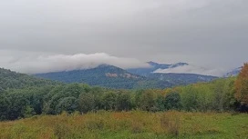 Погода на Кубани останется нестабильной