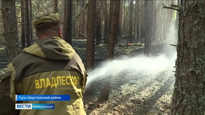 Вести. Владимир К западной границе Владимирской области подходит лесной пожар