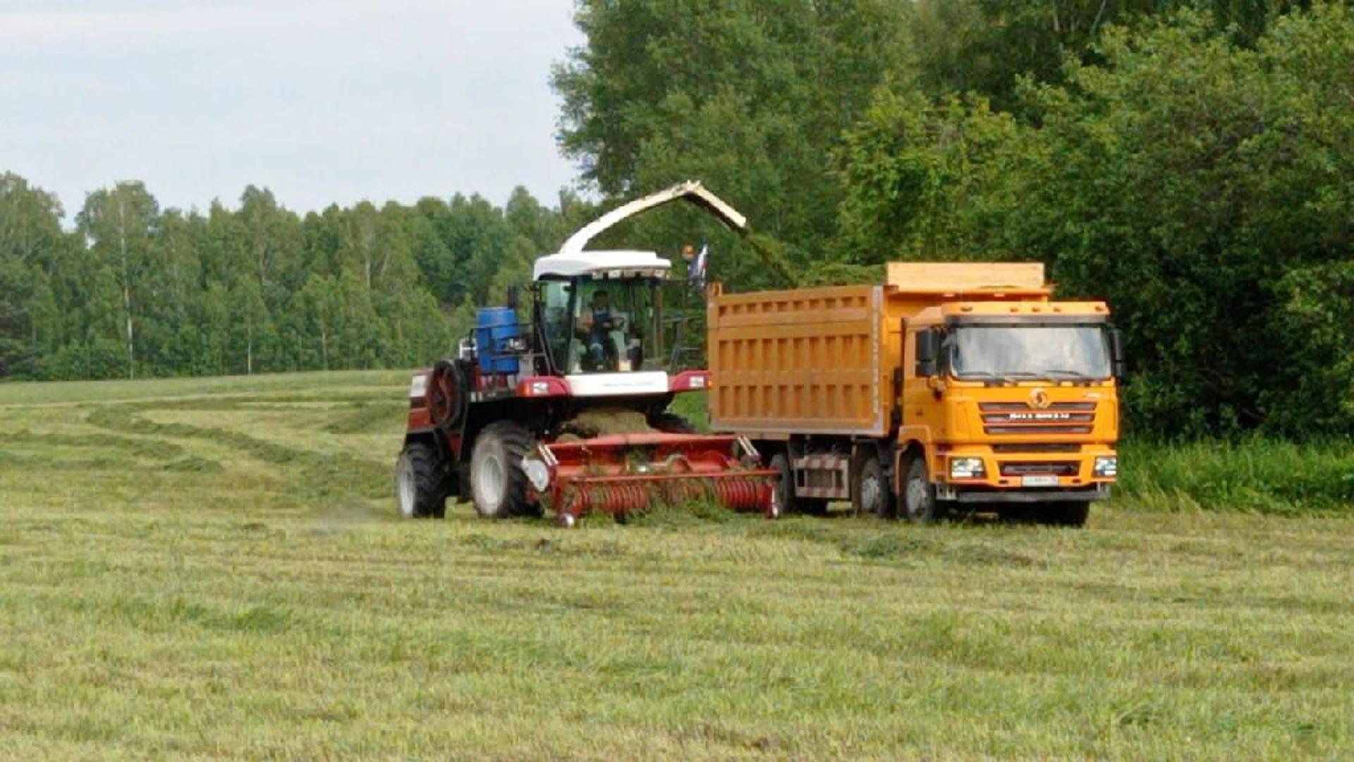 Томские аграрии убрали около 22% посевов