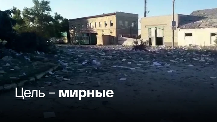 Видео из Сети ВСУ ударили по жителям ЛНР