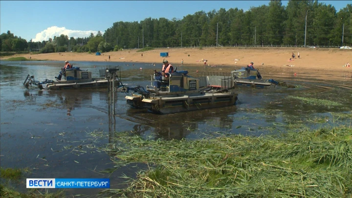 Вести. Санкт-Петербург Эфир от 23.08.2022 (21:05)