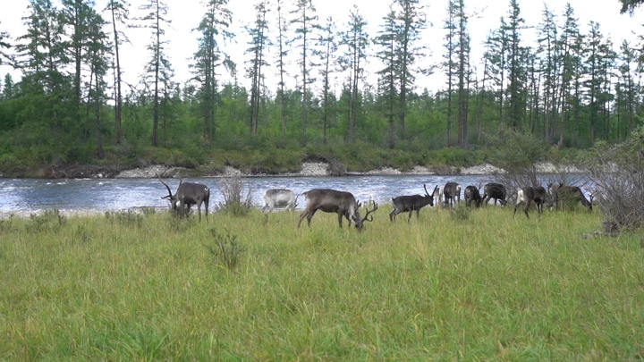 Вести. Иркутск Эфир от 24.08.2022 (09:00)