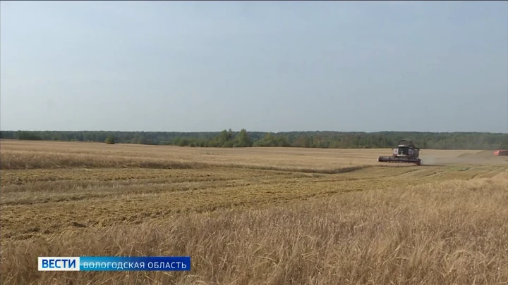 Fahren Sie. Aufzeichnung der Erntemengen gelang es, die Bauern des Bezirks Vologda vorzubereiten