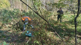 В Хабаровском крае продолжаются поиски пропавших рыбаков и грибника