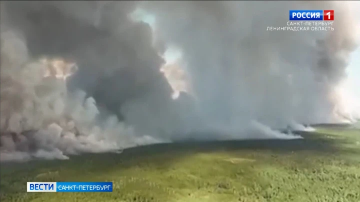 Вести. Санкт-Петербург Эфир от 18.08.2022 (21:05)