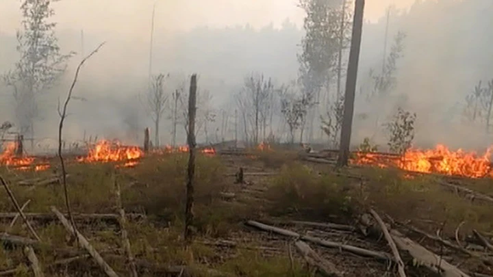 Новости В Нижегородской области разбушевался лесной пожар