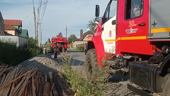 Вести. Южный Урал На Южном Урале произошел пожар в собачьем приюте