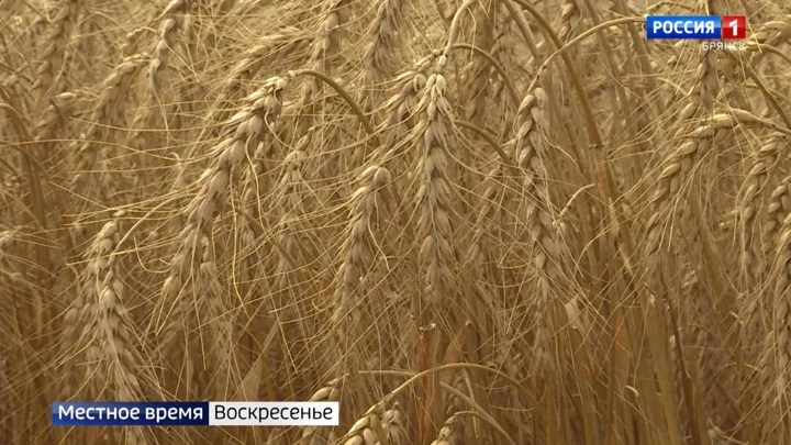 Местное время. Брянск. Воскресенье Эфир 14.07.2022