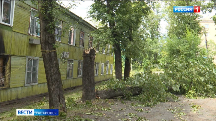 Вести. Хабаровск В Хабаровском крае продолжается ликвидация последствий стихии