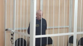 Суд взыскал с Бакарюкина 15 млн рублей за смертельное ДТП в Благовещенске