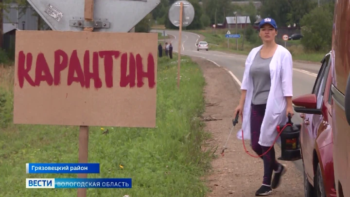 Вести. Вологодская область Вспышка африканской чумы свиней выявлена в Вологодской области