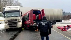 Число пострадавших в ДТП с микроавтобусом и фурой в Ленобласти выросло до 15