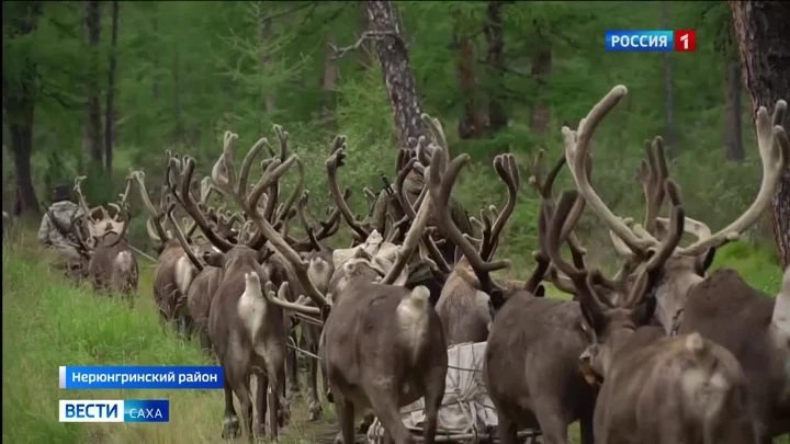 Вести. Саха Эфир от 08.08.2022 (21:05)