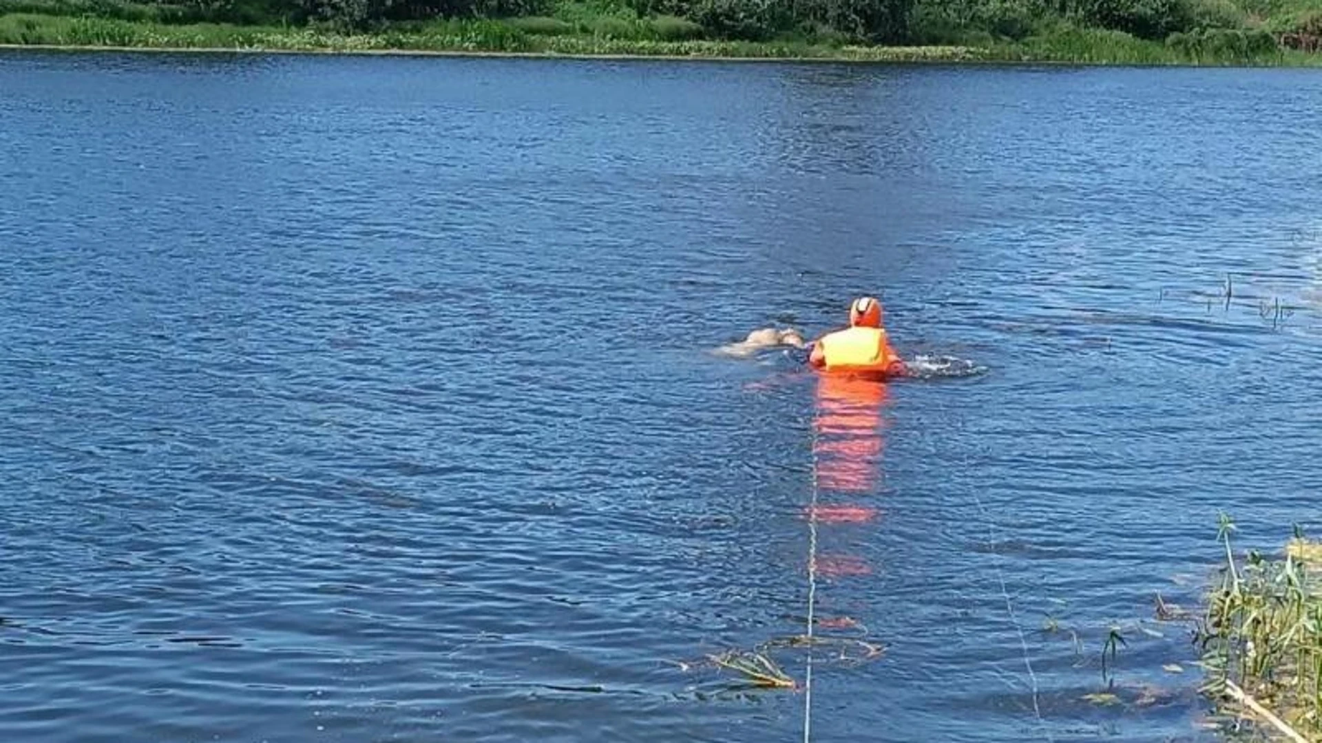 Тело утонувшего человека достали из воды в Глазове