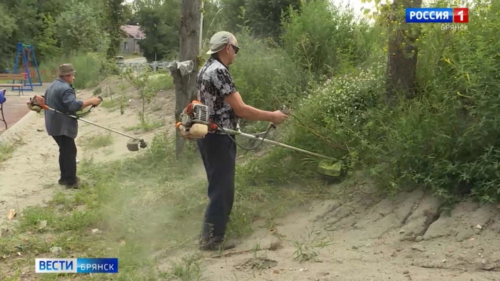 Вести. Брянск Эфир от 05.08.22 (14:30)