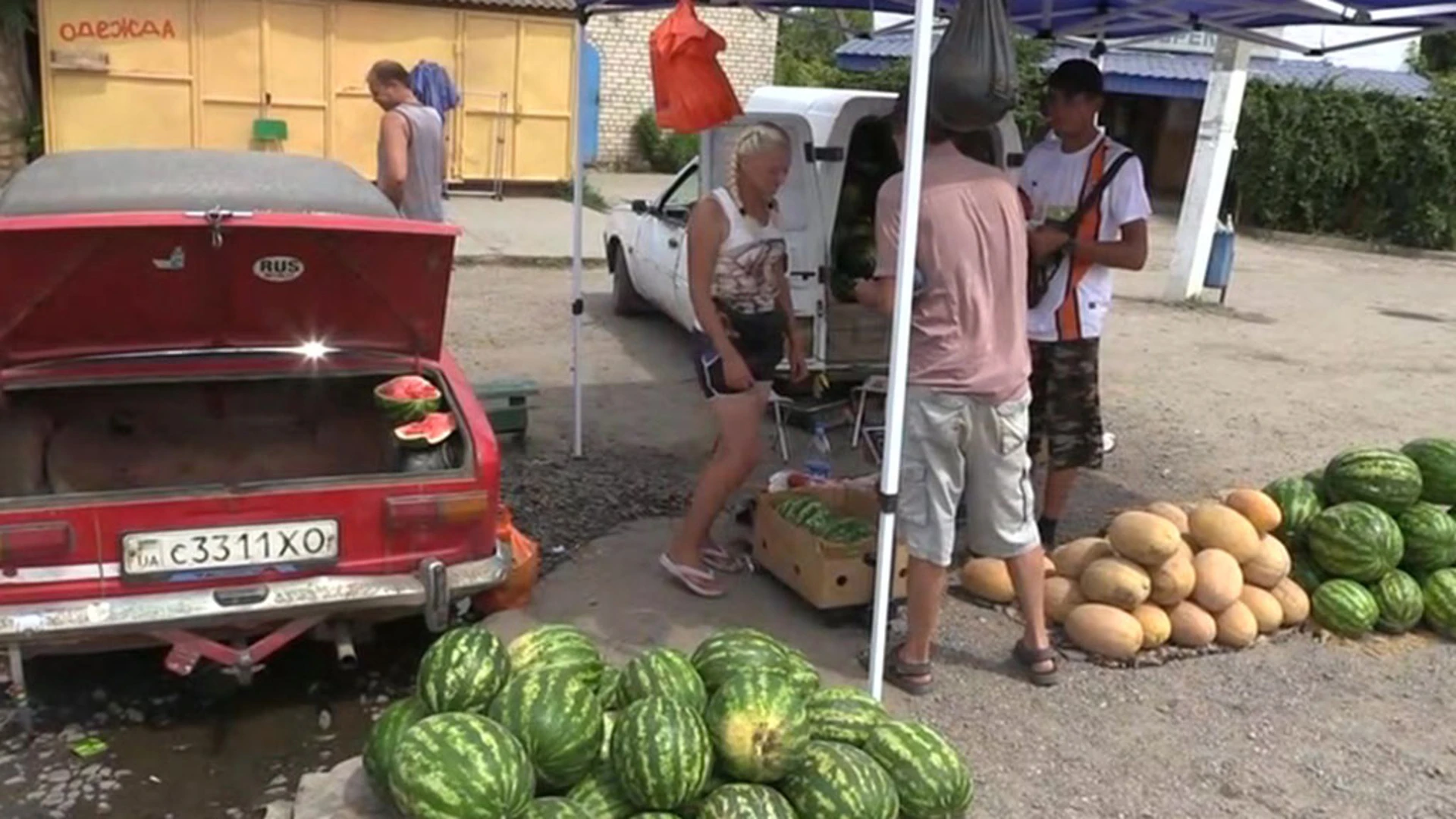 Сезон арбузов начался в Херсонской области