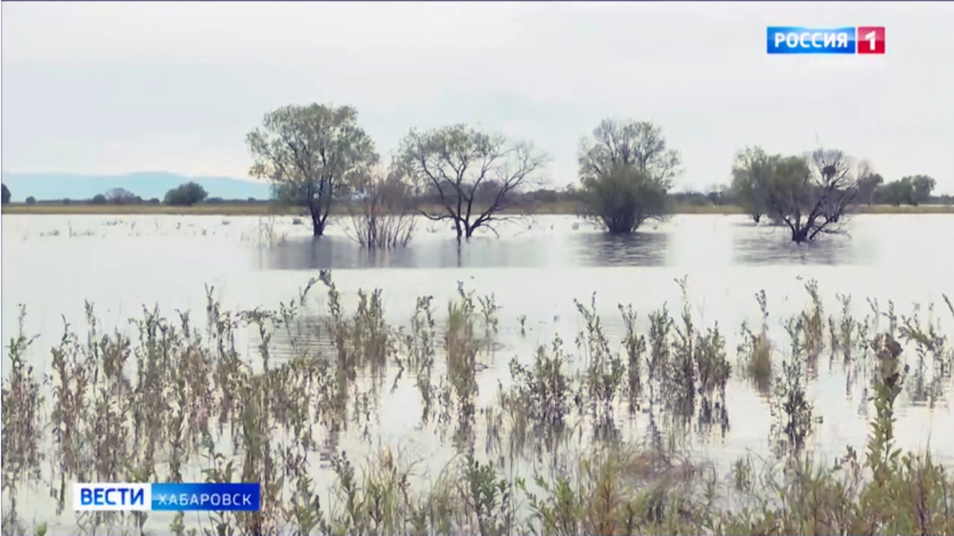 "Большой воды" на Нижнем Амуре в первую половину августа не ожидается