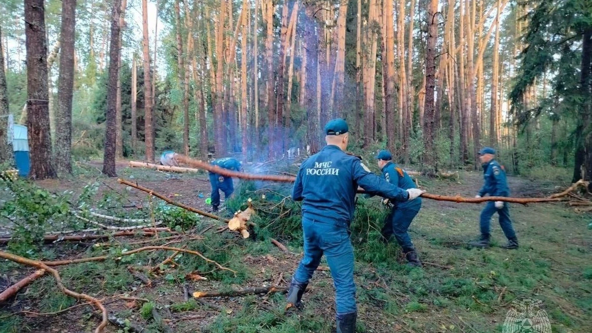 Семьям погибших и пострадавших от урагана в Марий Эл будут выплачены компенсации