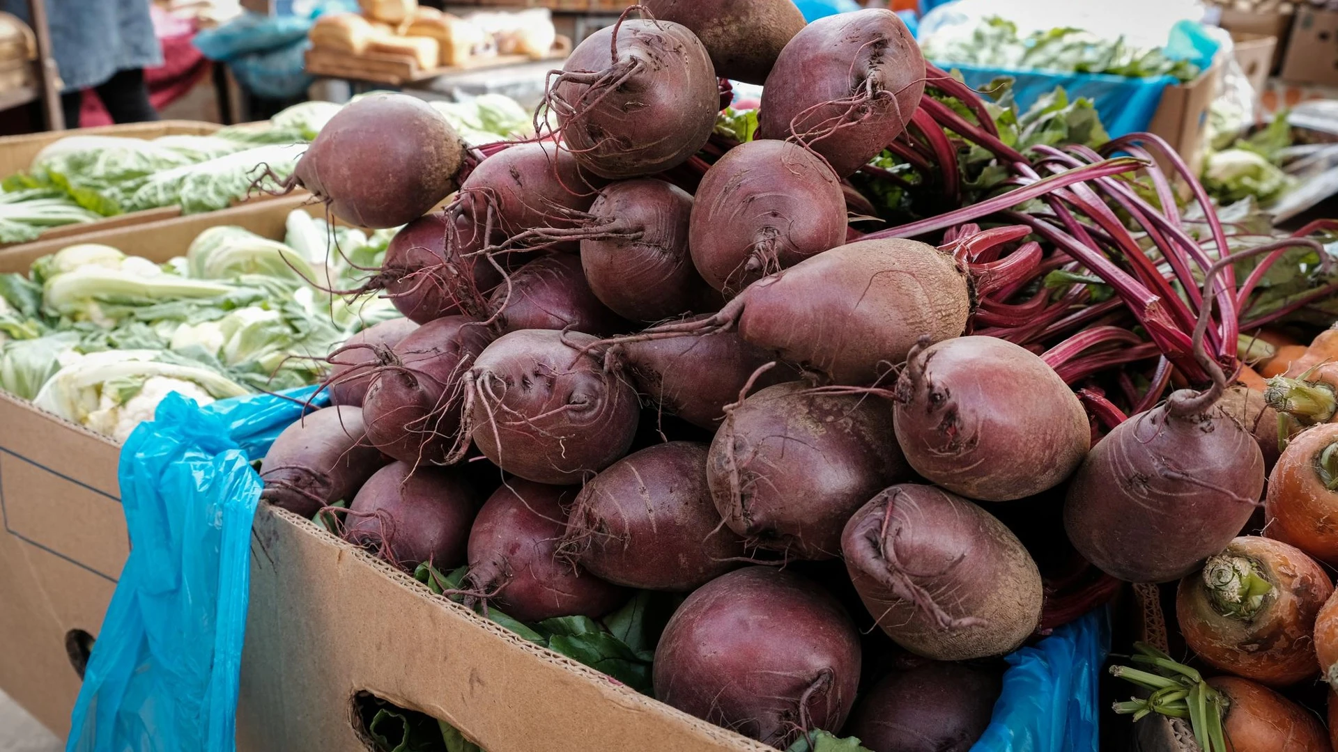 Уборка сахарной свеклы началась на Кубани