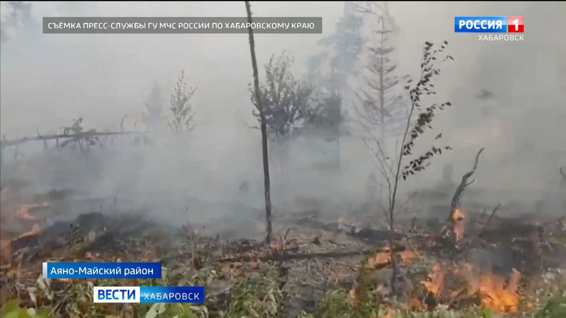 Дополнительные силы направят в Хабаровский край для борьбы с природными возгораниями