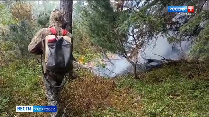 Вести. Хабаровск Джугджурский заповедник в Аяно-Майском районе снова в огне