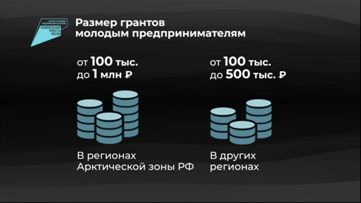 Инфографика Россия в цифрах. Гранты молодым предпринимателям