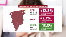 Заболеваемость ОРВИ на территории края продолжает расти