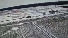 Морпехи ЧФ остановили наступление превосходящих сил ВСУ в Курской области