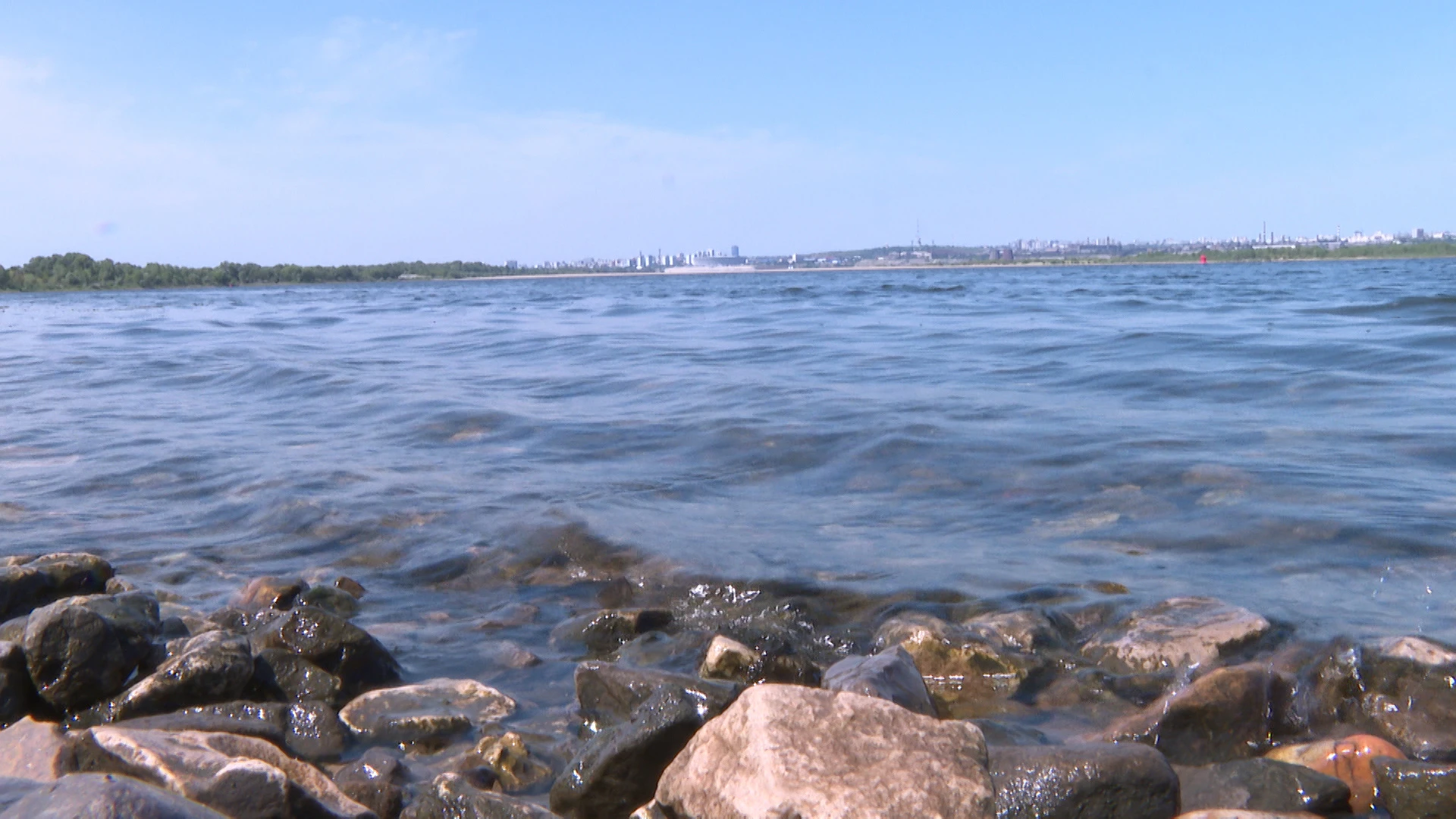 В водные артерии Волгоградской области выпущено более миллиона мальков ценных пород рыб