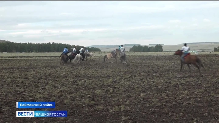 Новости Уфы и Башкортостана В Баймакском районе республики стартовал фестиваль “Башкирская лошадь”