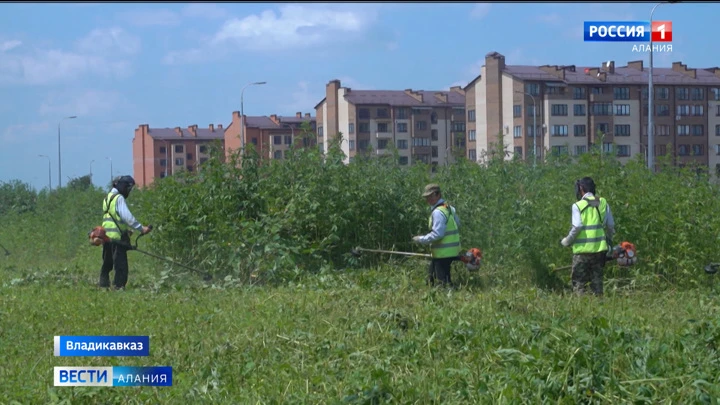 Вести. Алания Эфир от 29.07.2022