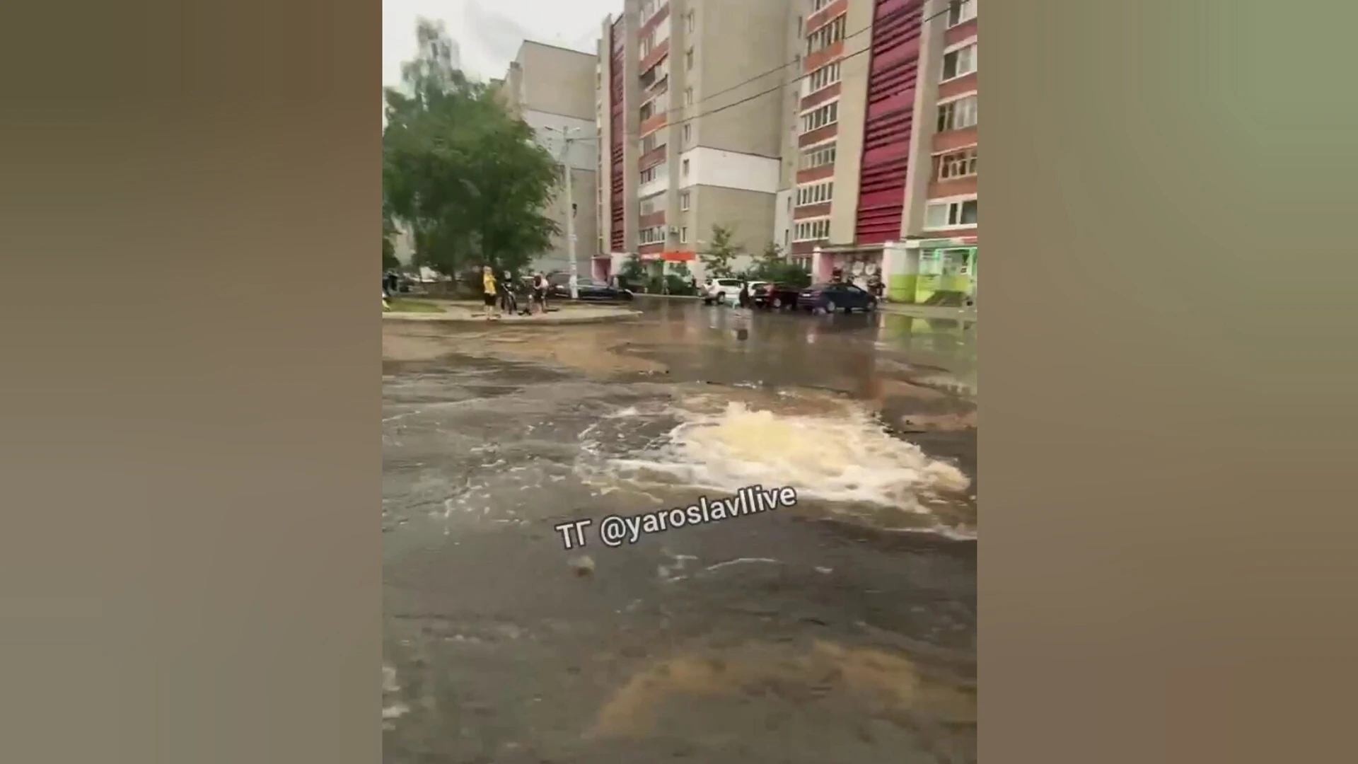 На улице Доронина в Ярославле посреди дороги забил гейзер